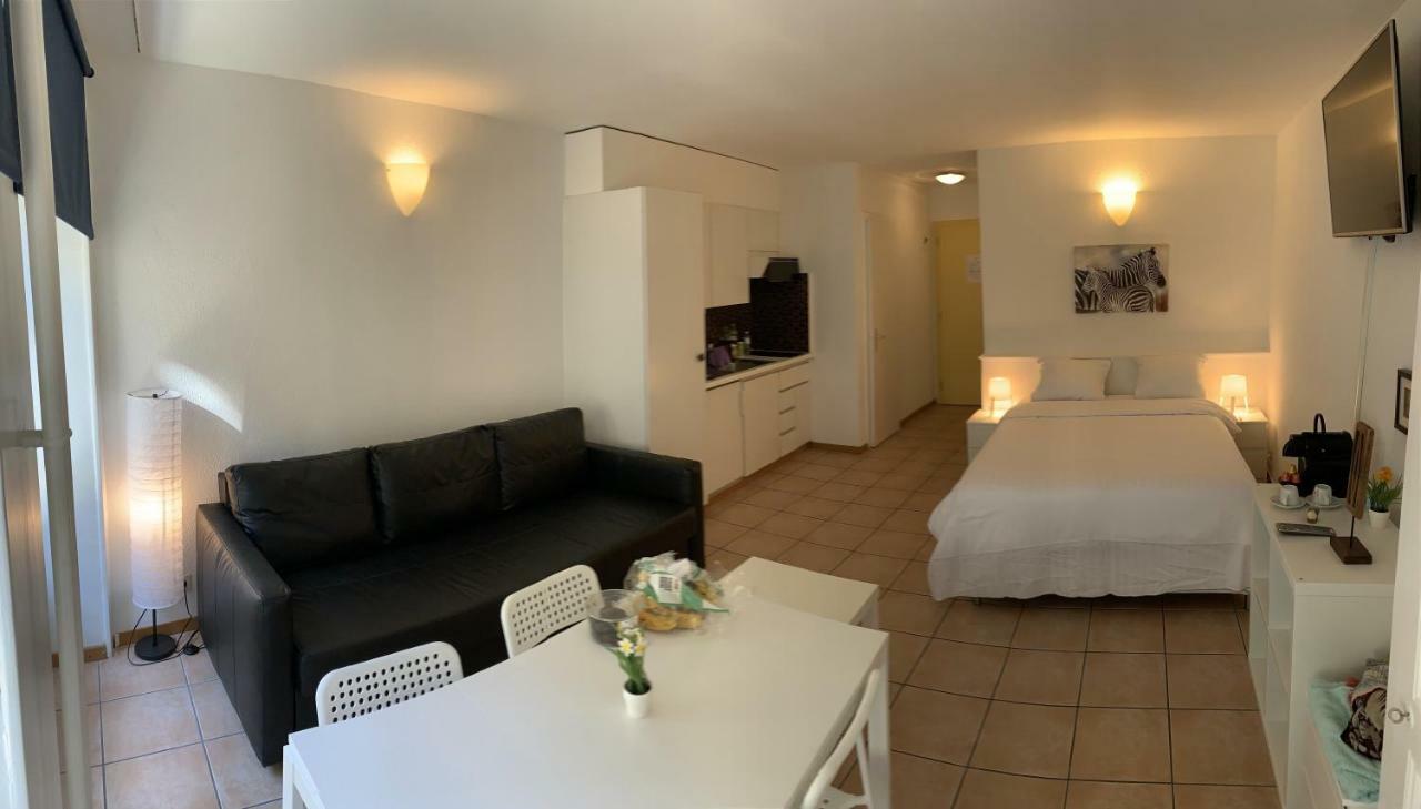 Luxury Duplex Vue Chateau Neuchâtel Εξωτερικό φωτογραφία